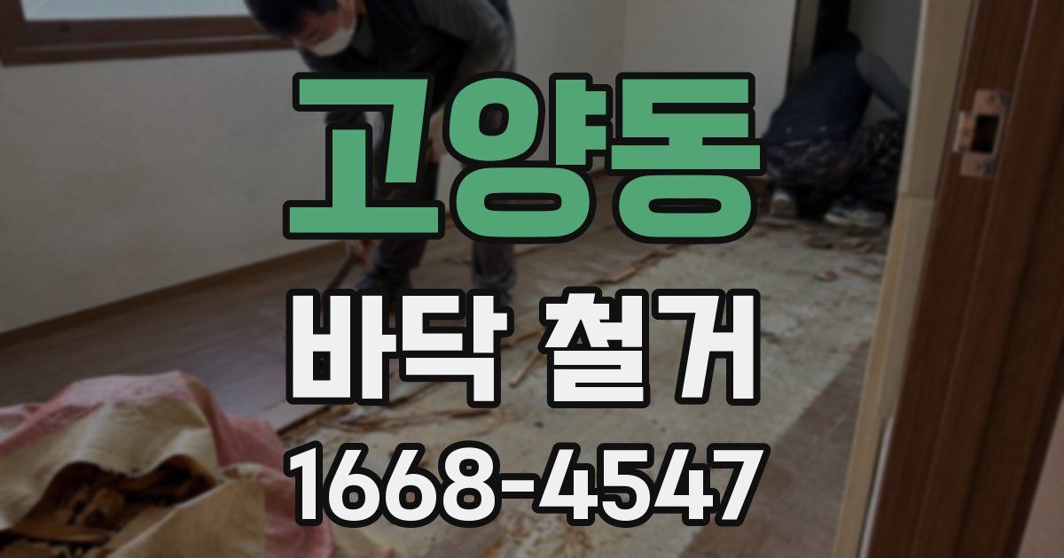 고양동 바닥 철거