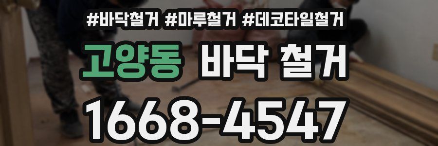 고양동 바닥 철거