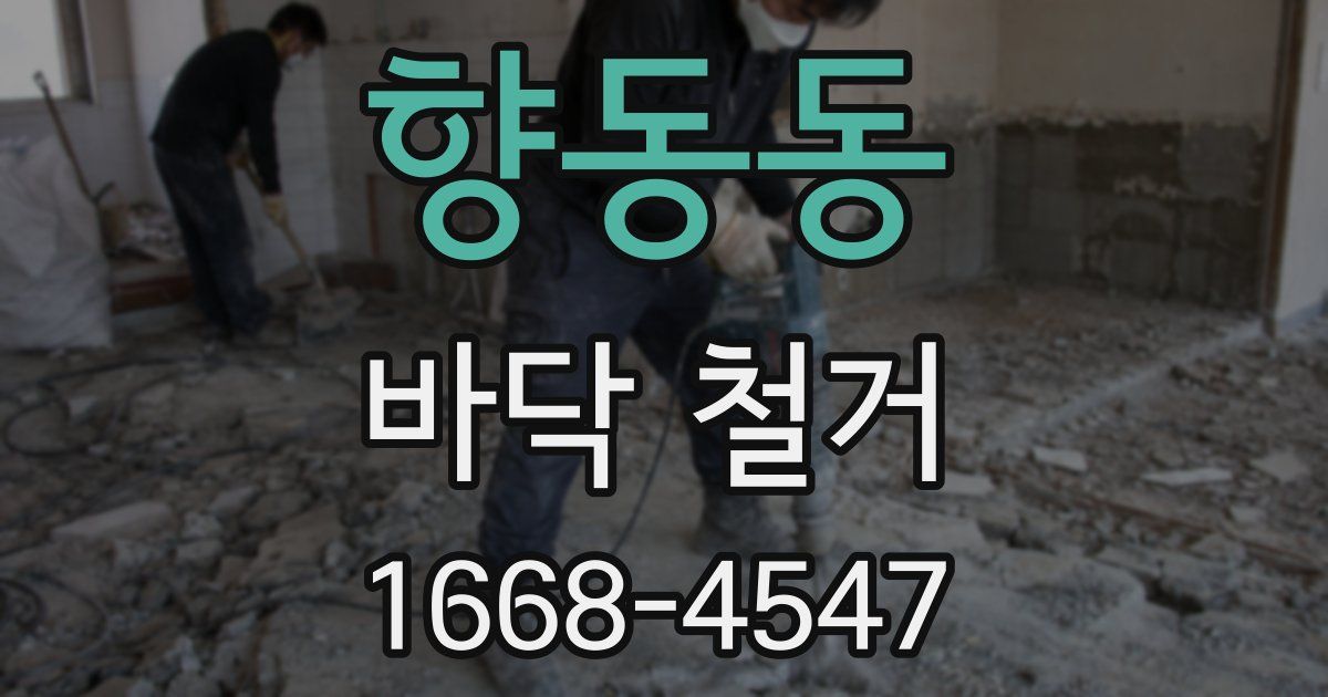 향동동 바닥 철거