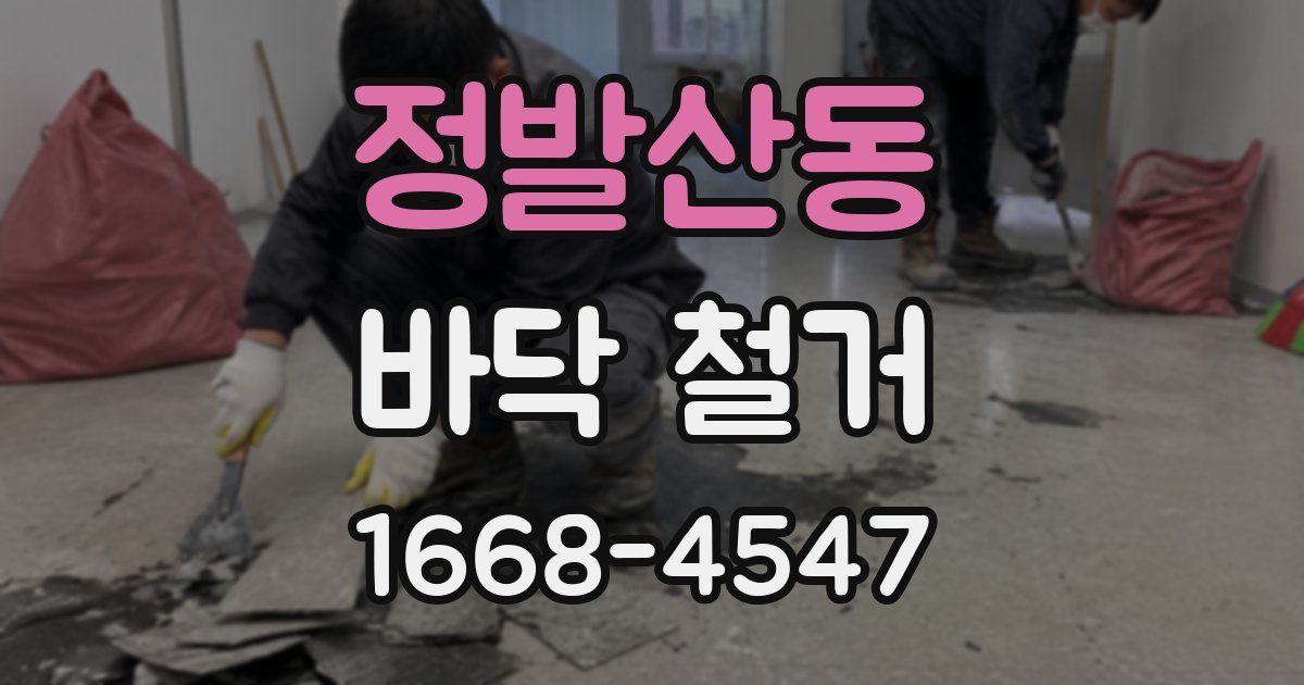 정발산동 바닥 철거