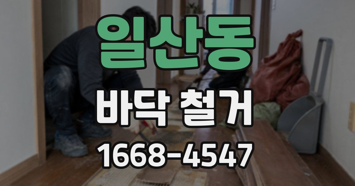 일산동 바닥 철거