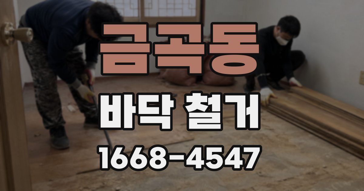 금곡동 바닥 철거