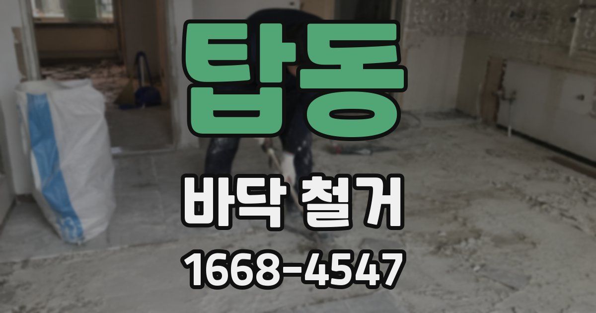 탑동 바닥 철거