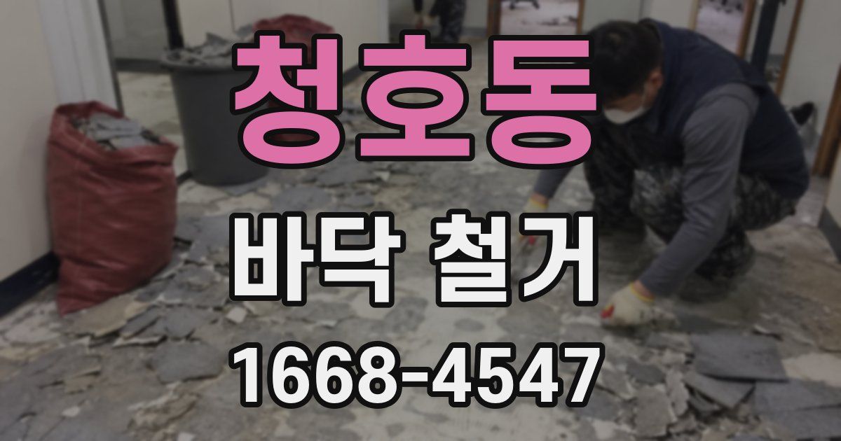 청호동 바닥 철거