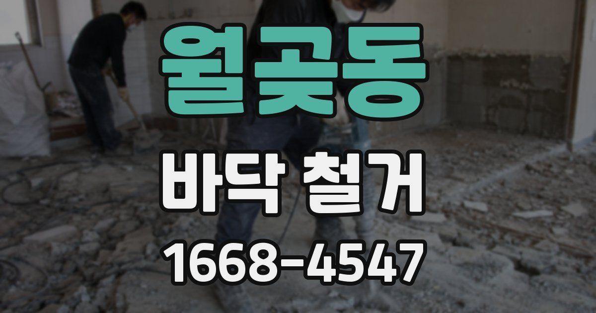 월곶동 바닥 철거