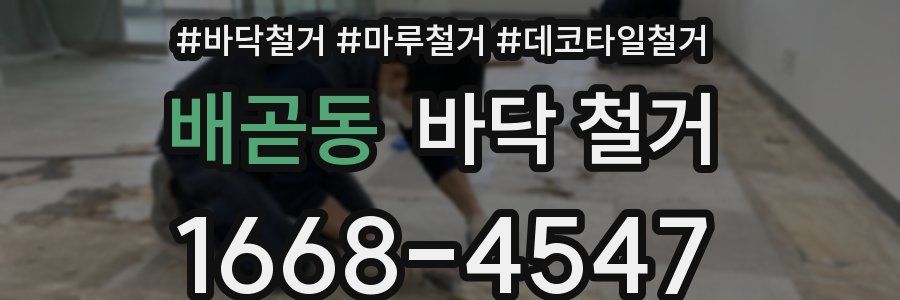 배곧동 바닥 철거