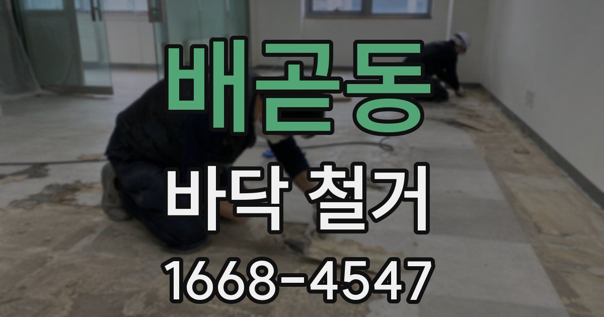 배곧동 바닥 철거
