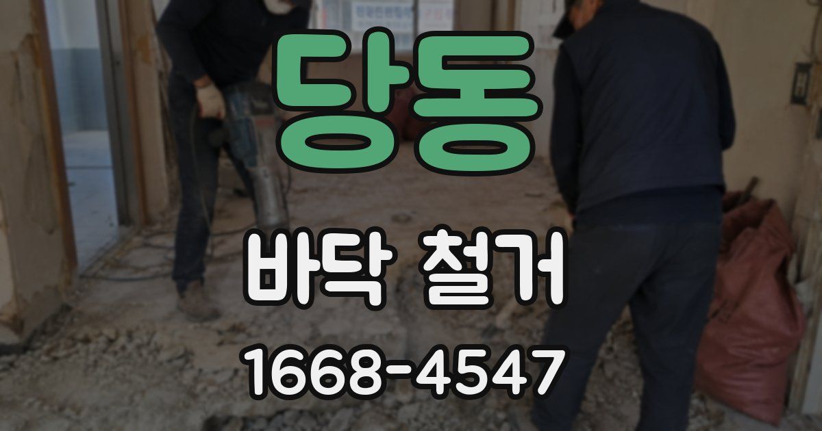 당동 바닥 철거