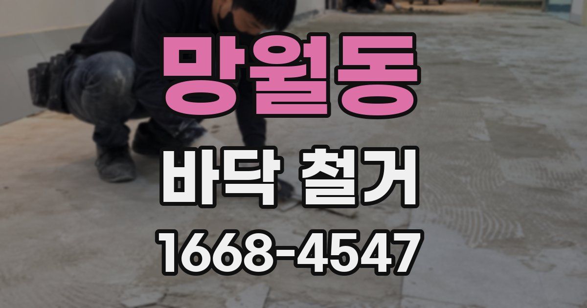 망월동 바닥 철거