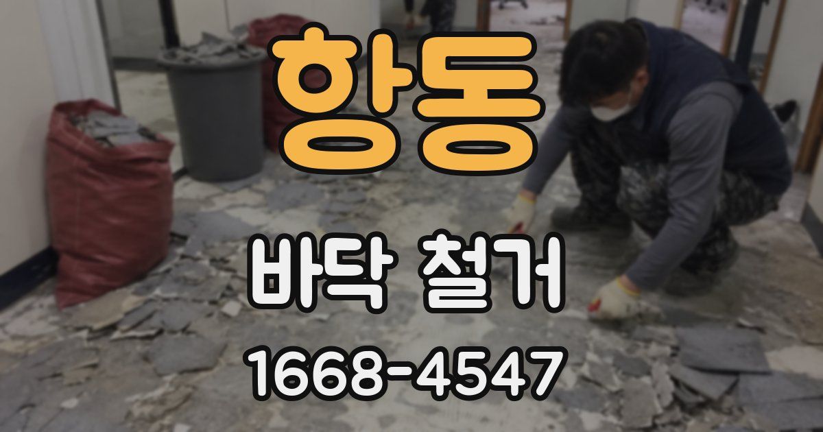항동 바닥 철거