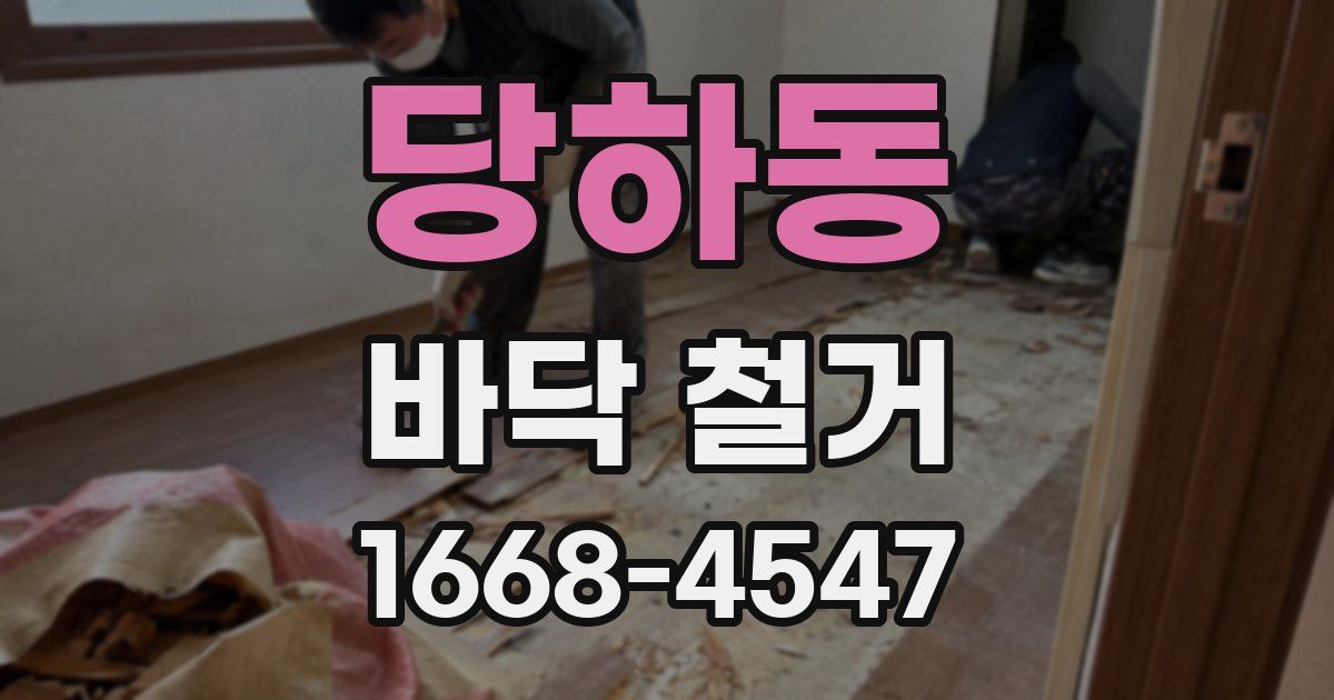 당하동 바닥 철거