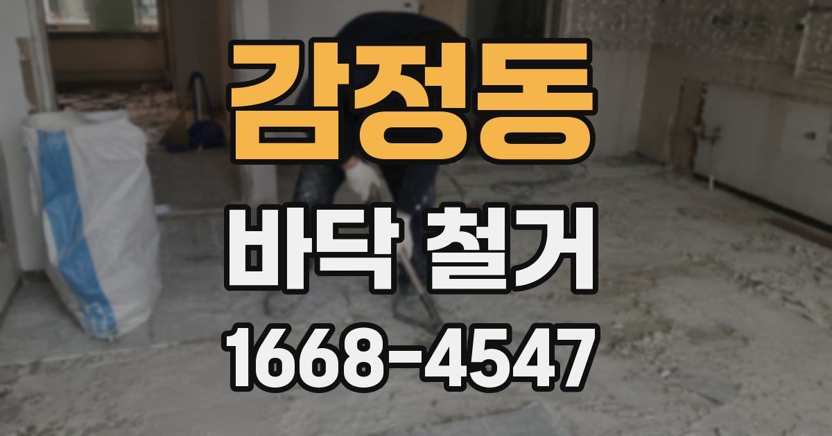 감정동 바닥 철거