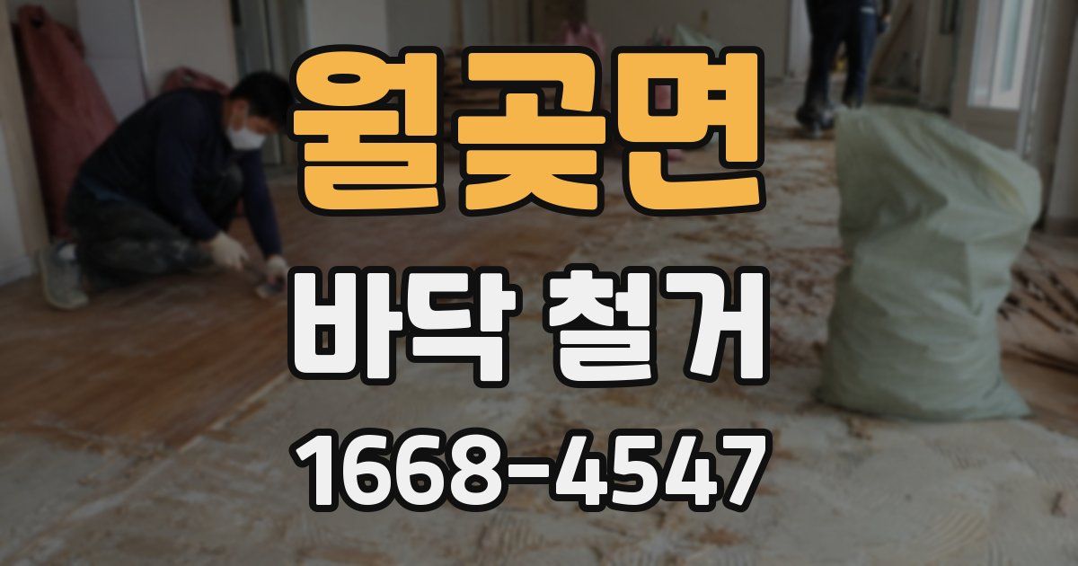 월곶면 바닥 철거