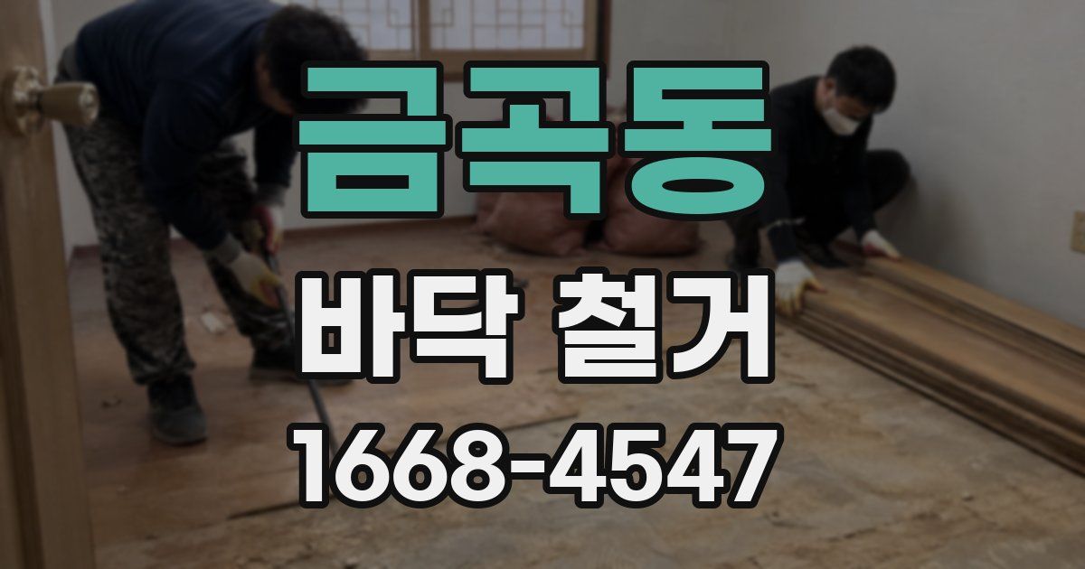 금곡동 바닥 철거