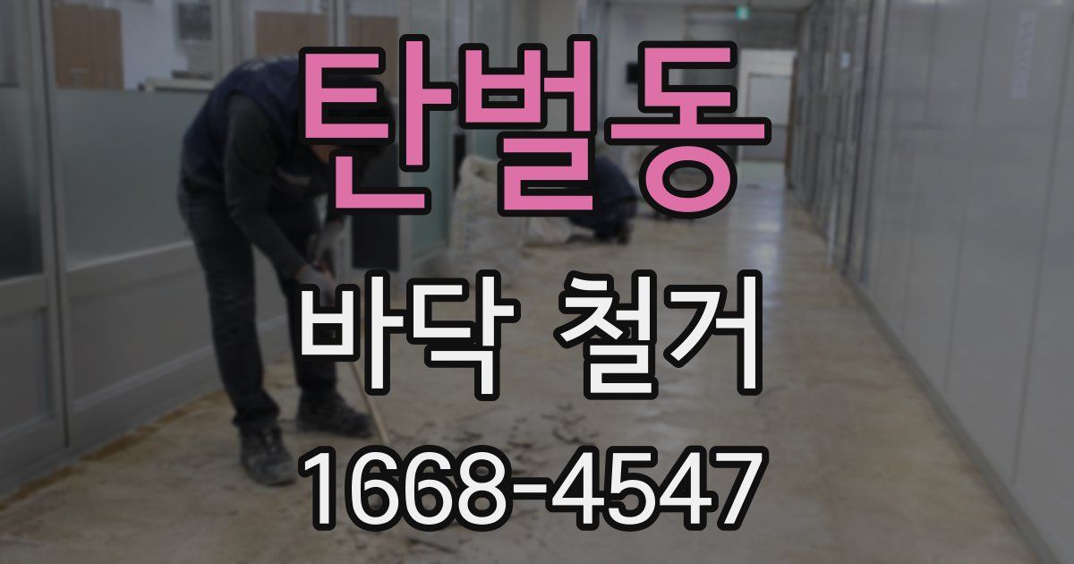 탄벌동 바닥 철거