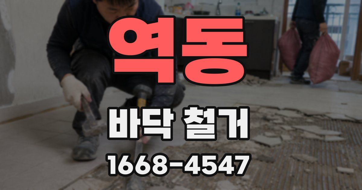 역동 바닥 철거