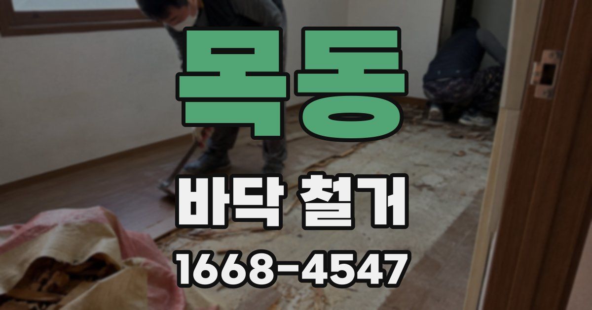 목동 바닥 철거