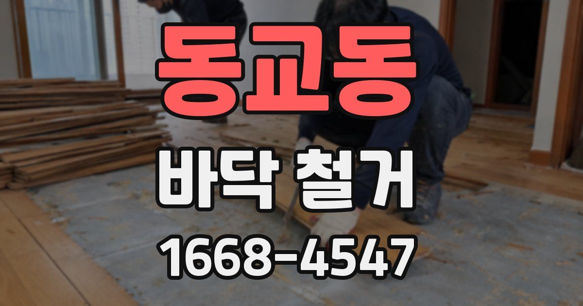 동교동 바닥 철거