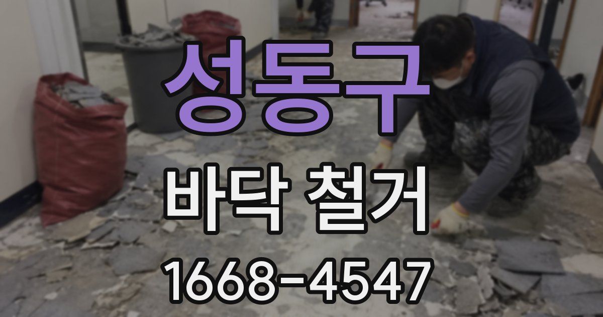 성동구 바닥 철거