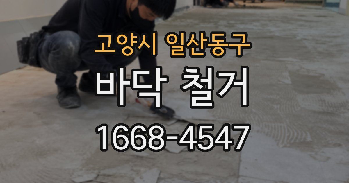 고양시 일산동구 바닥 철거