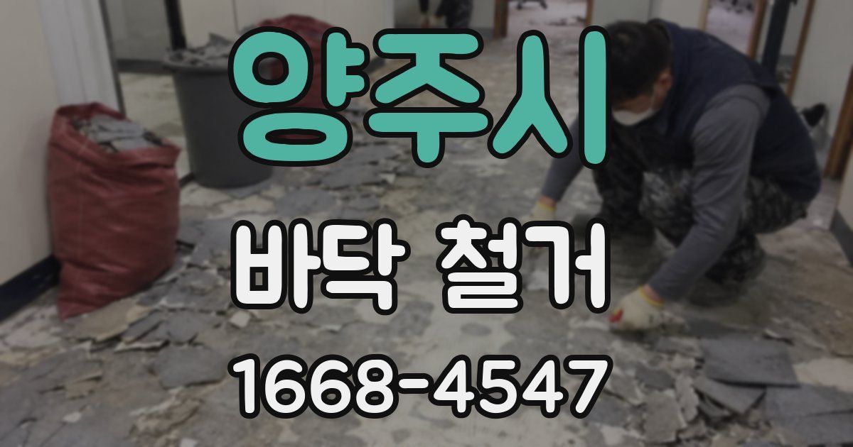 양주시 바닥 철거
