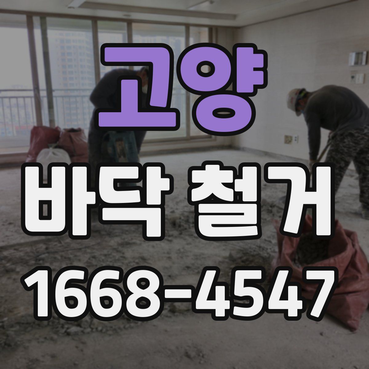 고양 바닥 철거