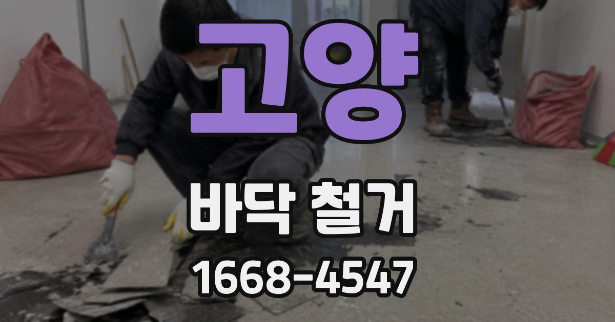 고양 바닥 철거