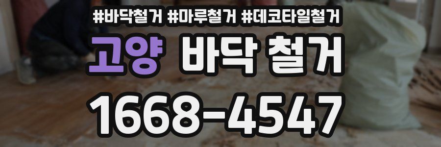 고양 바닥 철거