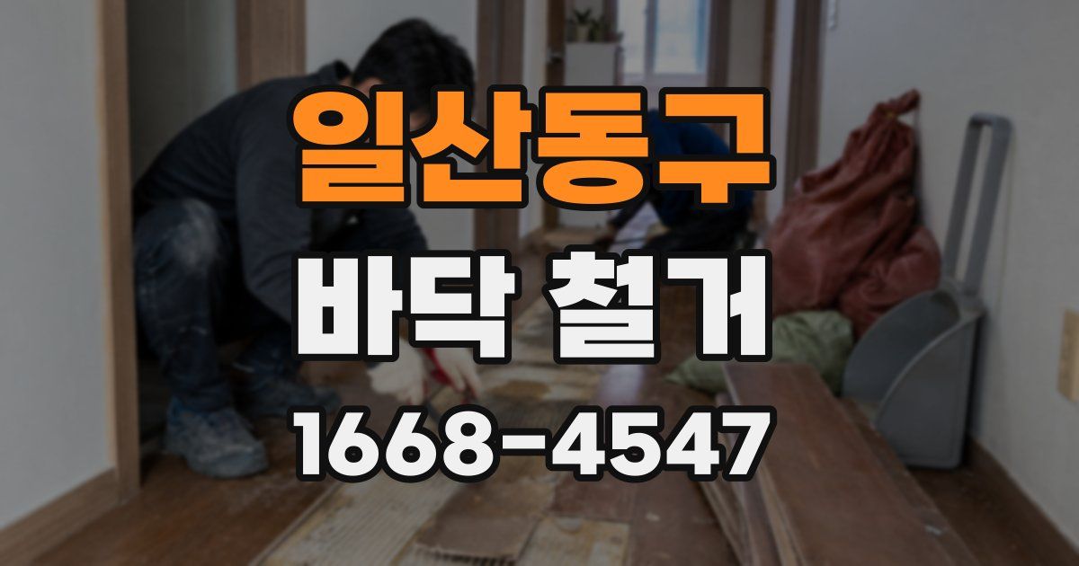 일산동구 바닥 철거