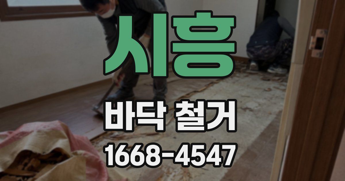 시흥 바닥 철거
