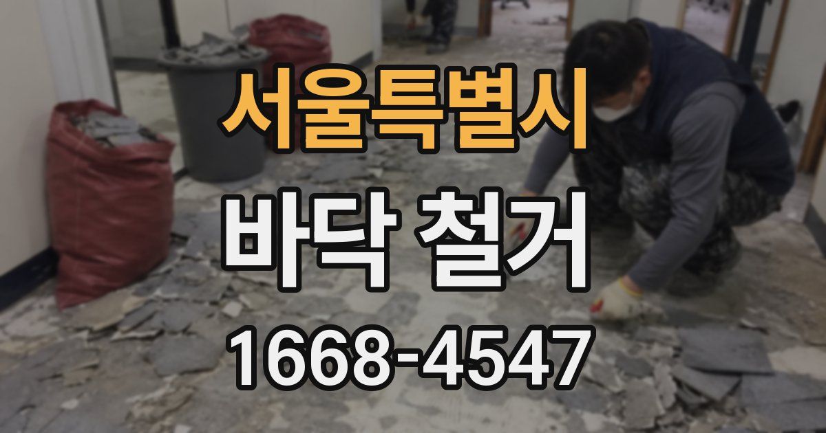 서울특별시 바닥 철거