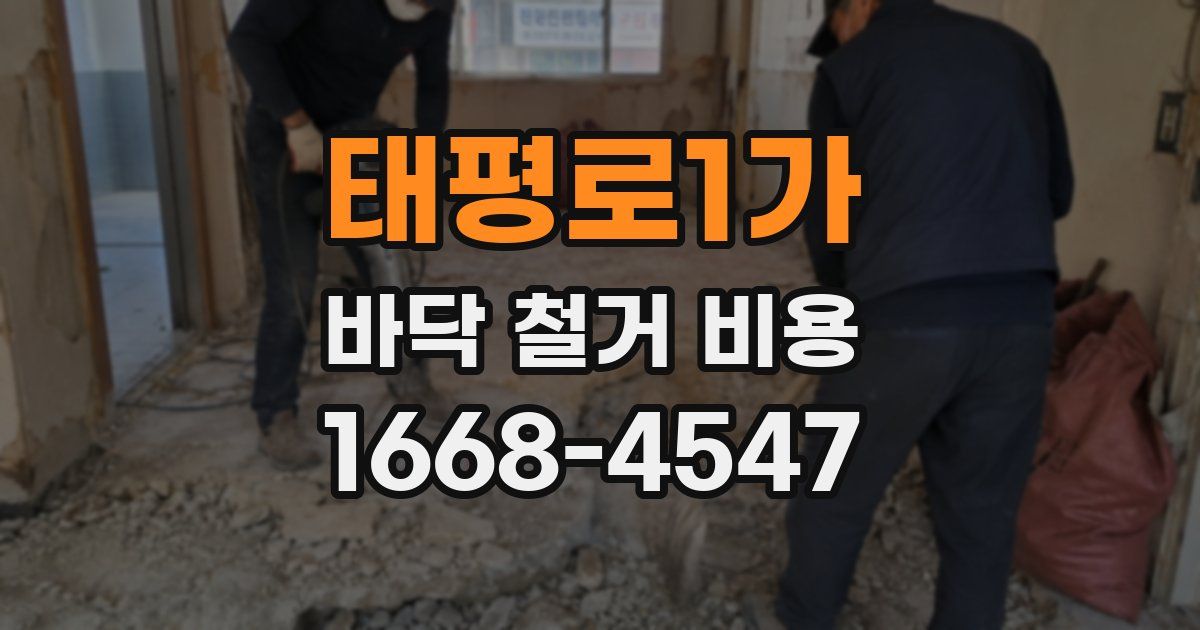 태평로1가 바닥 철거 비용