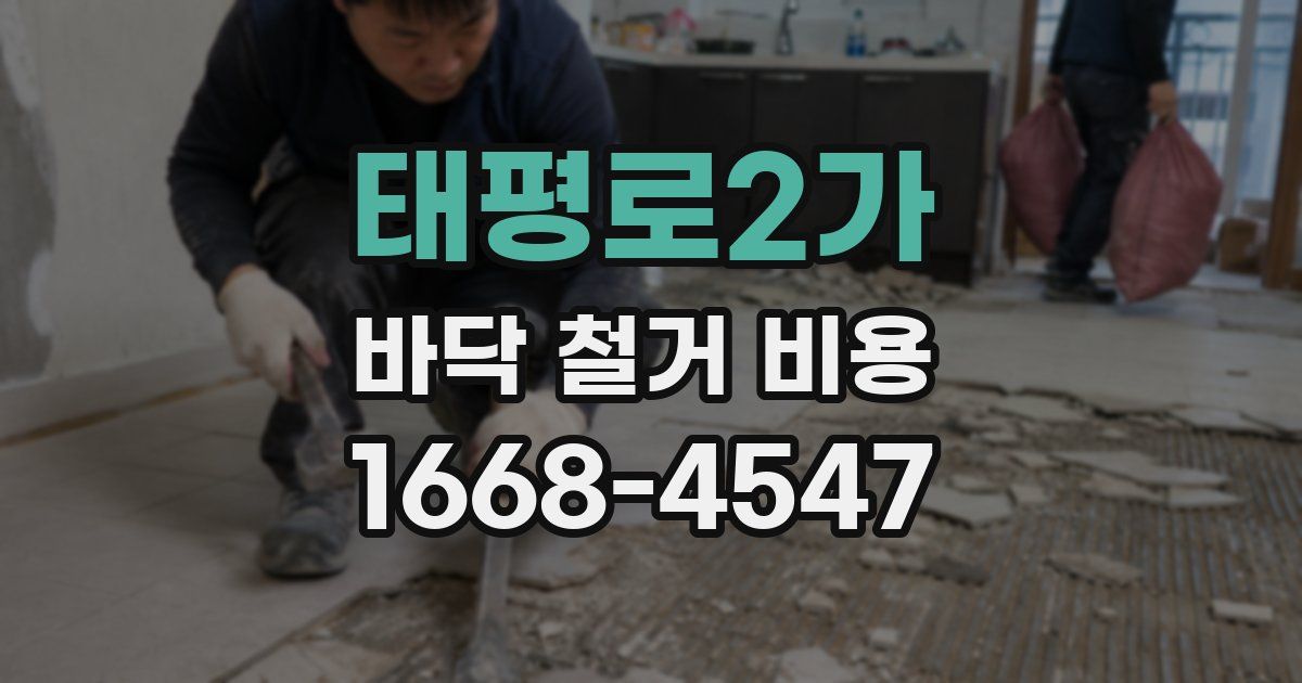 태평로2가 바닥 철거 비용
