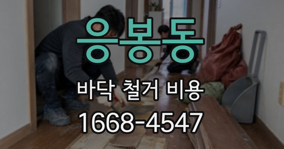 응봉동 바닥 철거 비용