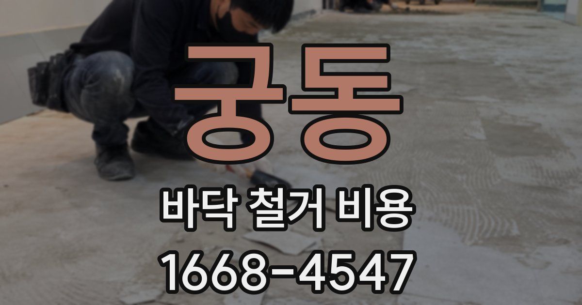 궁동 바닥 철거 비용
