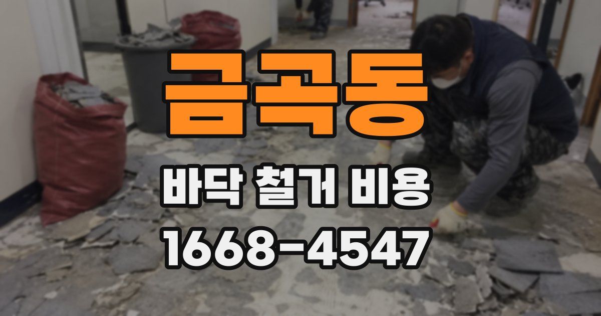 금곡동 바닥 철거 비용