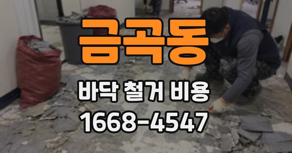 금곡동 바닥 철거 비용