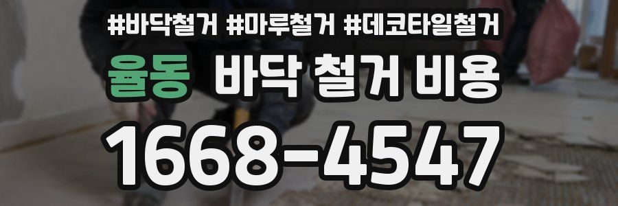 율동 바닥 철거 비용