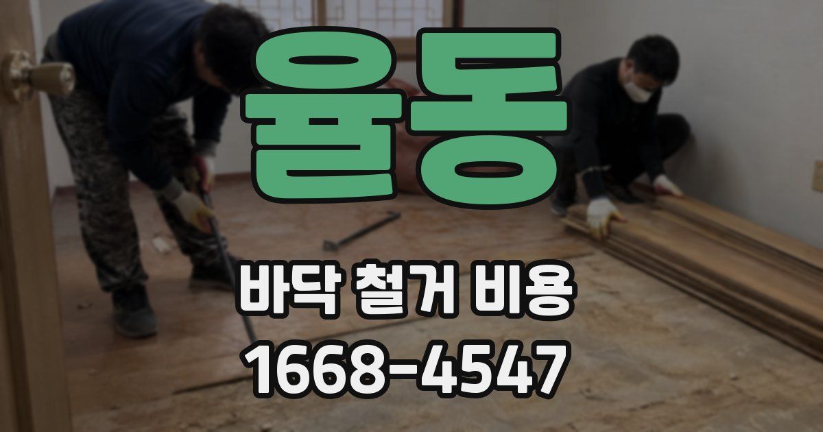 율동 바닥 철거 비용