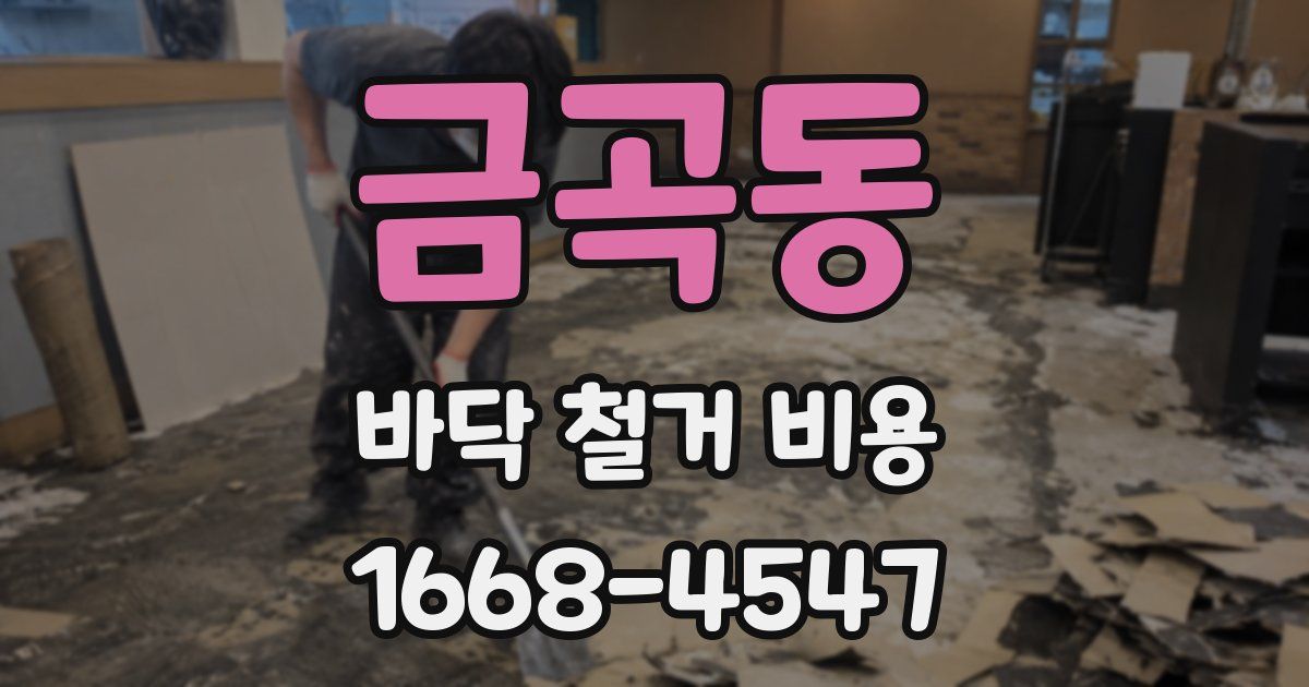 금곡동 바닥 철거 비용