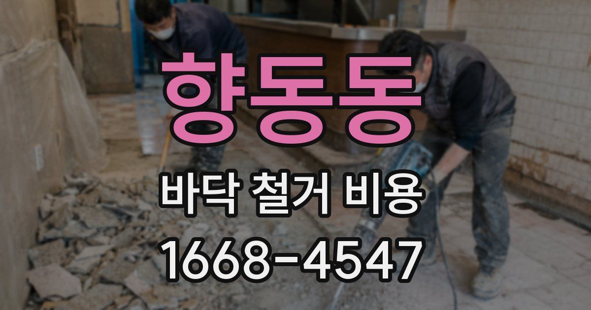 향동동 바닥 철거 비용