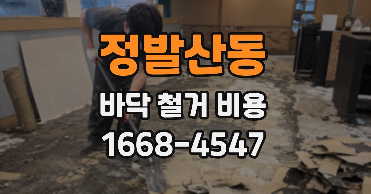 정발산동 바닥 철거 비용