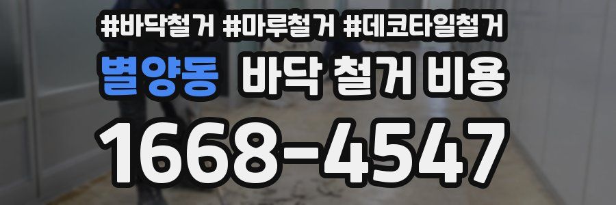 별양동 바닥 철거 비용