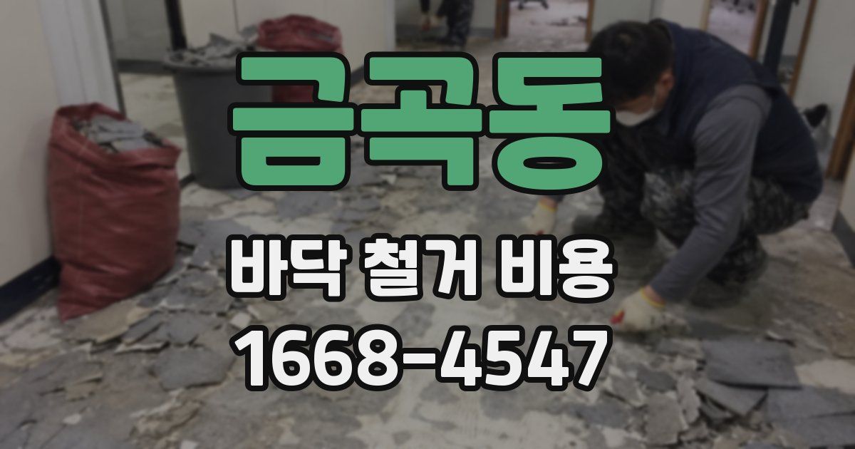 금곡동 바닥 철거 비용