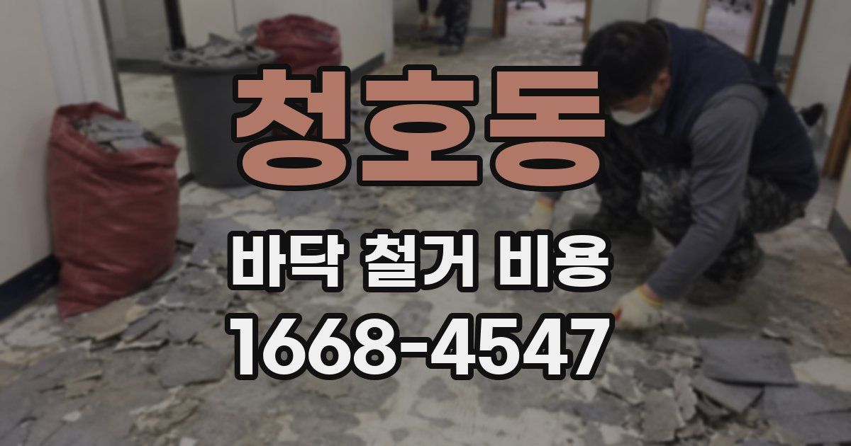 청호동 바닥 철거 비용