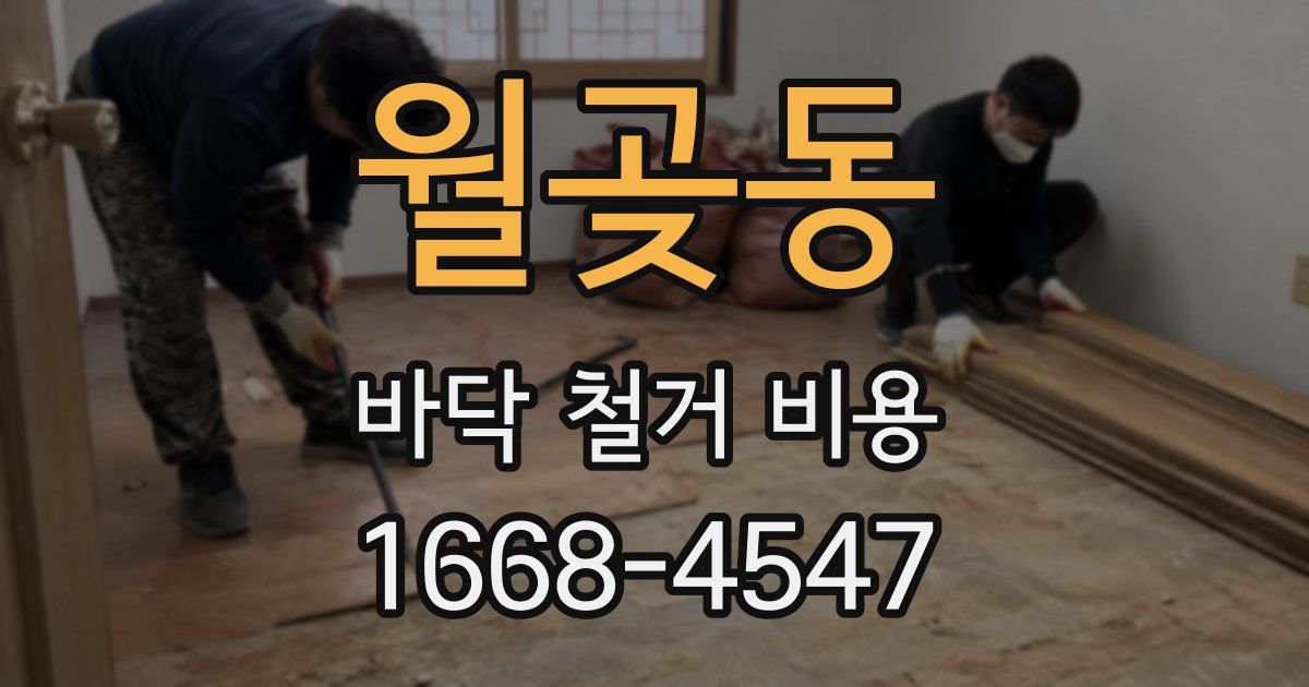 월곶동 바닥 철거 비용