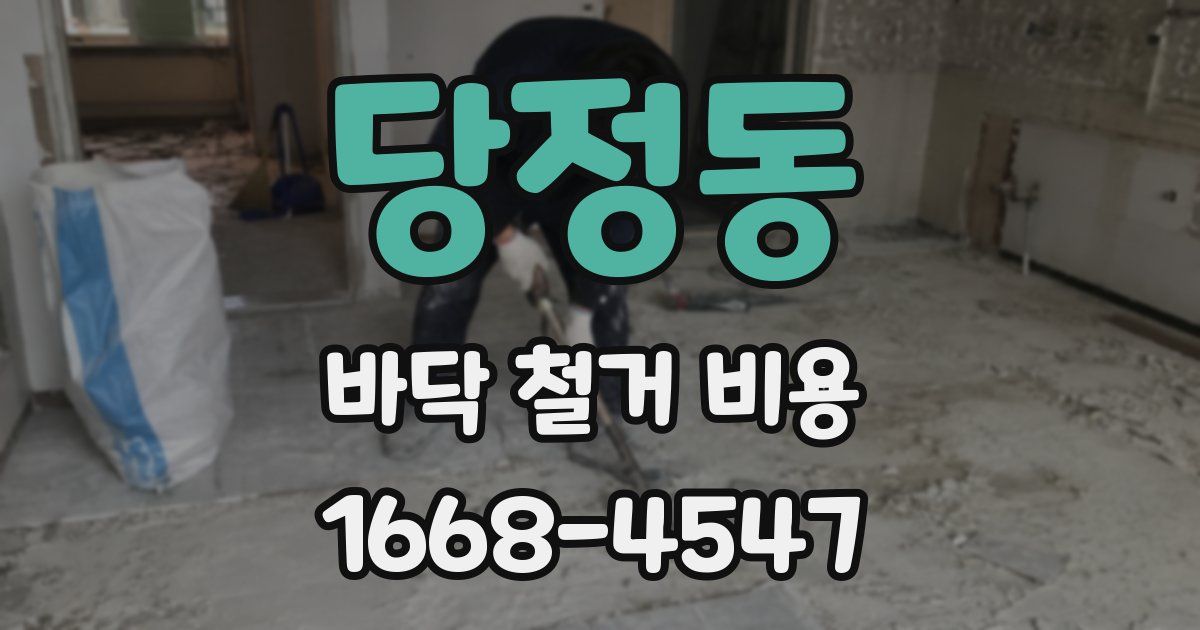 당정동 바닥 철거 비용