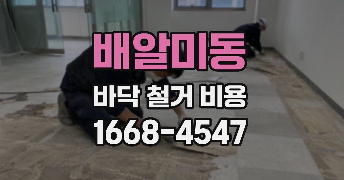 배알미동 바닥 철거 비용
