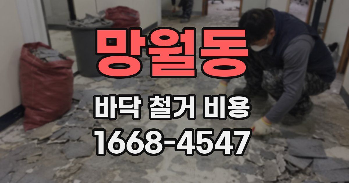 망월동 바닥 철거 비용