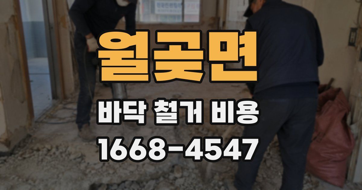 월곶면 바닥 철거 비용